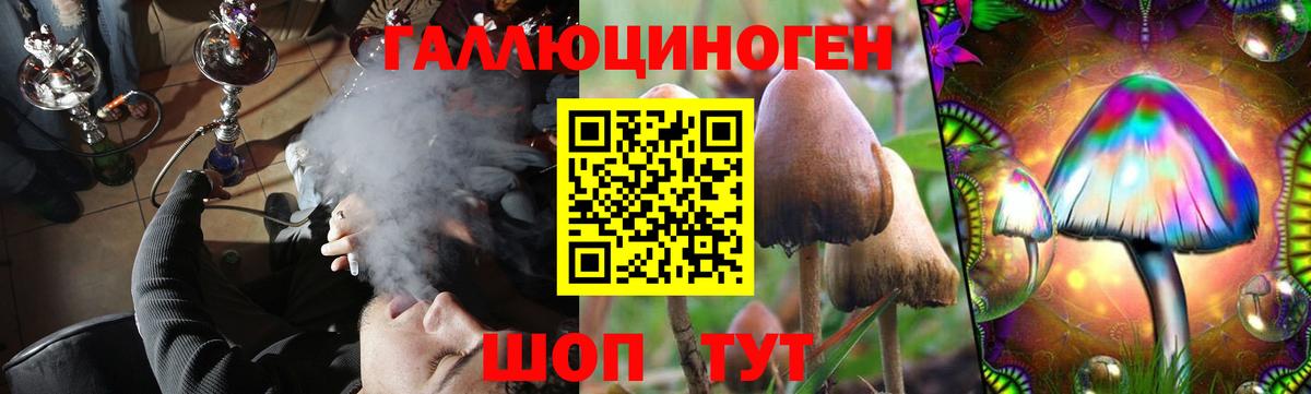 Галлюциногенные грибы GOLDEN TEACHER Кимры